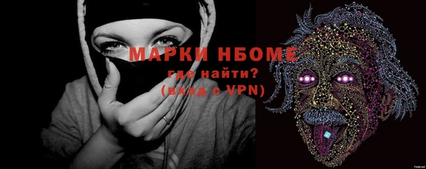 стаф Дмитровск