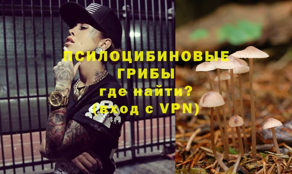тгк Дмитров