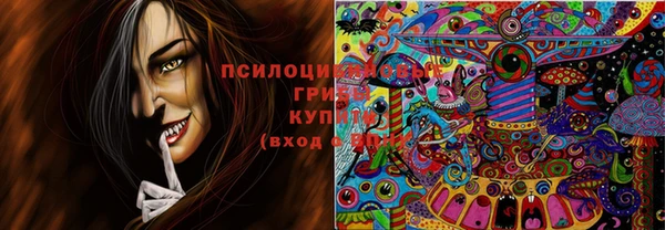 тгк Дмитров
