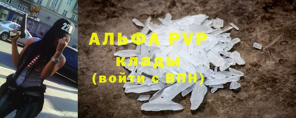 стаф Дмитровск