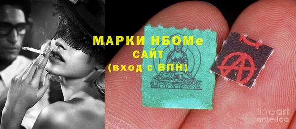стаф Дмитровск