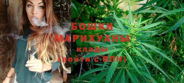 тгк Дмитров