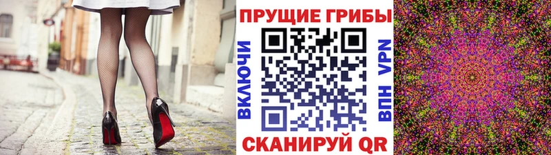 Галлюциногенные грибы Cubensis  Купить где  Калач-на-Дону 